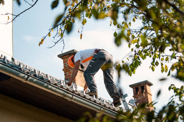 Best Roof Maintenance Services  in Carbondale, KS