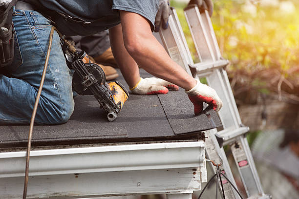 Best Roof Gutter Cleaning  in Carbondale, KS