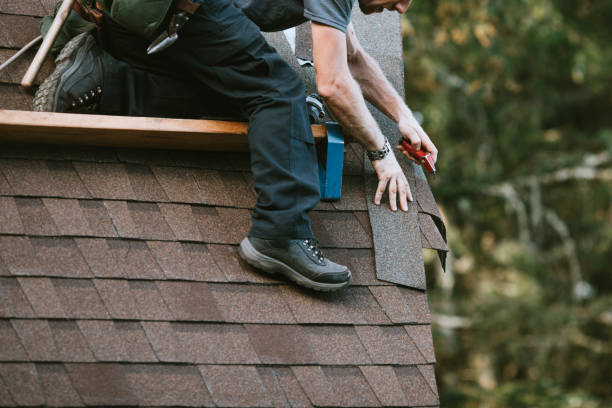 Best Metal Roofing Contractor  in Carbondale, KS